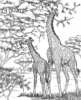 A coloring page of nature in africa